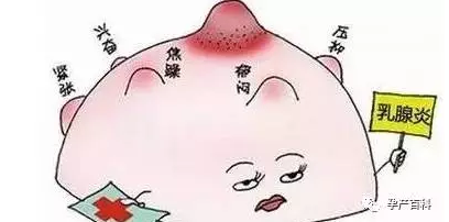 哺乳期乳腺炎，慎用抗生素！